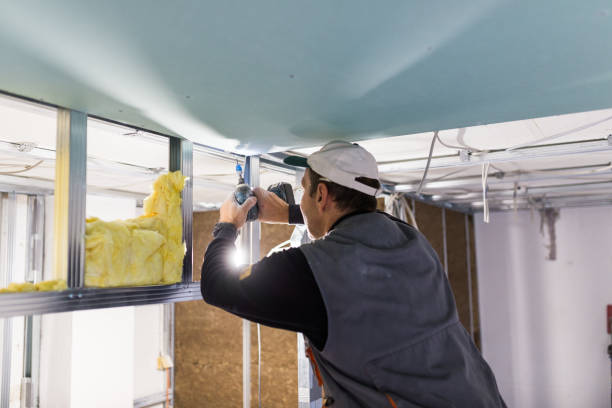 Best Residential Insulation in Leachville, AR
